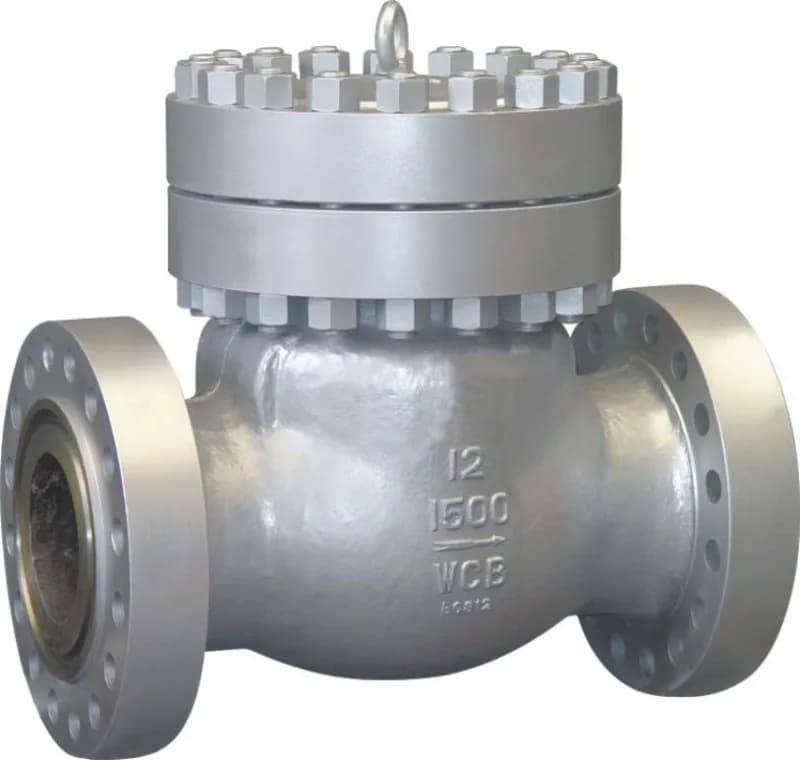 Dual Plate Check Valve