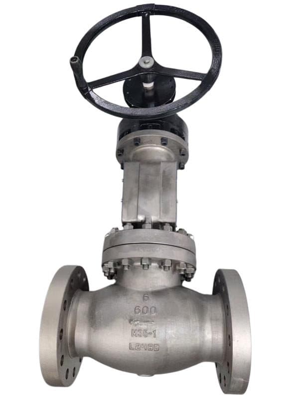 Standard Globe Valve