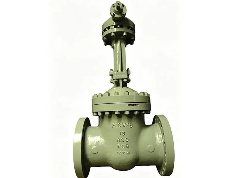 Gate Valves