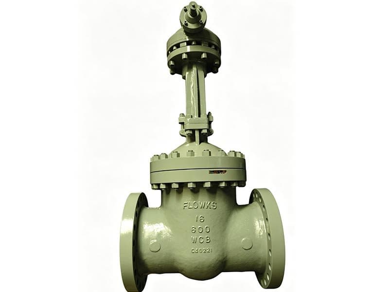 Flexible Wedge Gate Valve