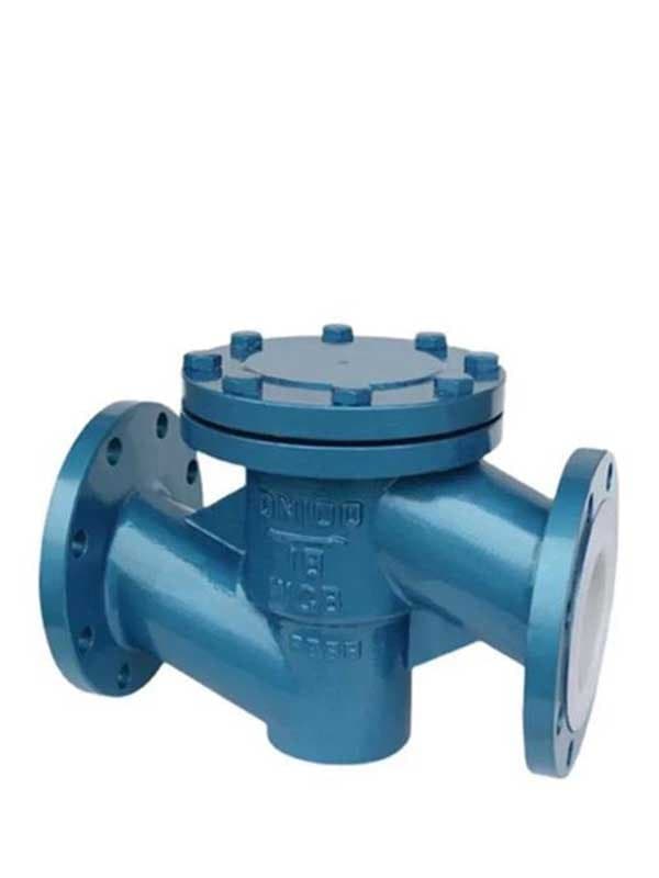 FEP Lined Check Valve
