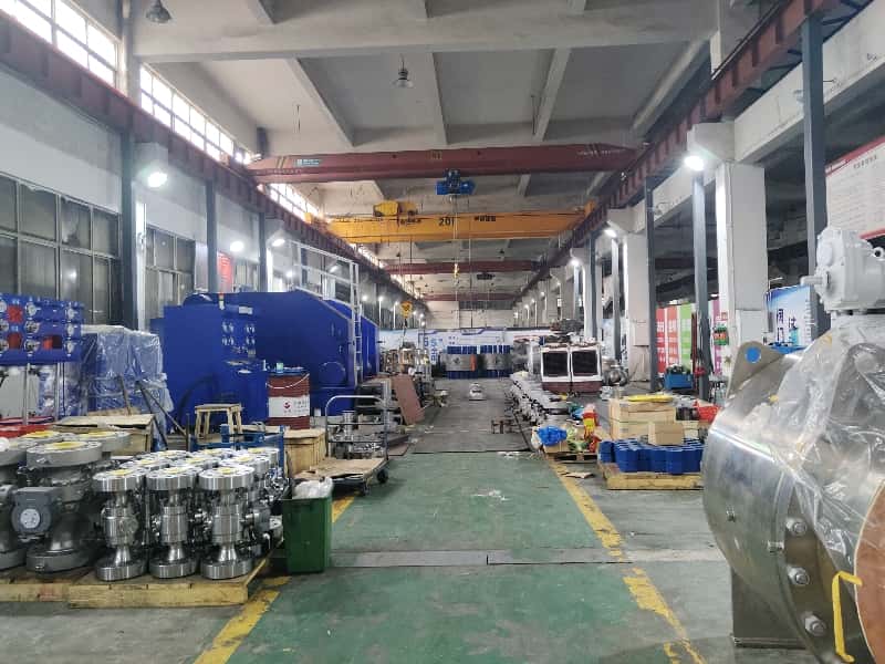Dual Plate Check Valve